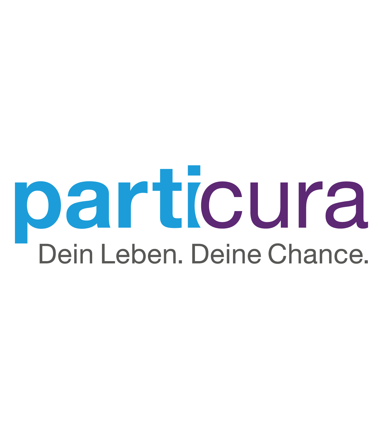 logo_particura